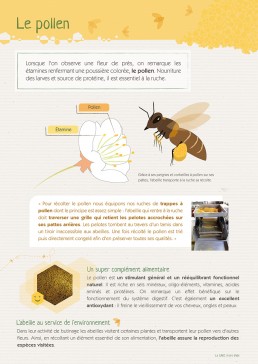 picopico affiche apiculteur chartreuse isère graphiste professionnel freelance