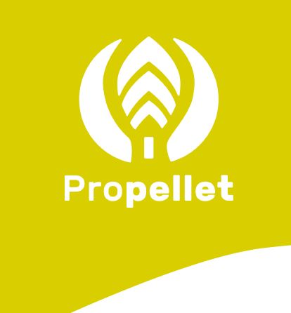 Propellet-granule-logo-Chambery-savoie-graphiste-professionnel-bd