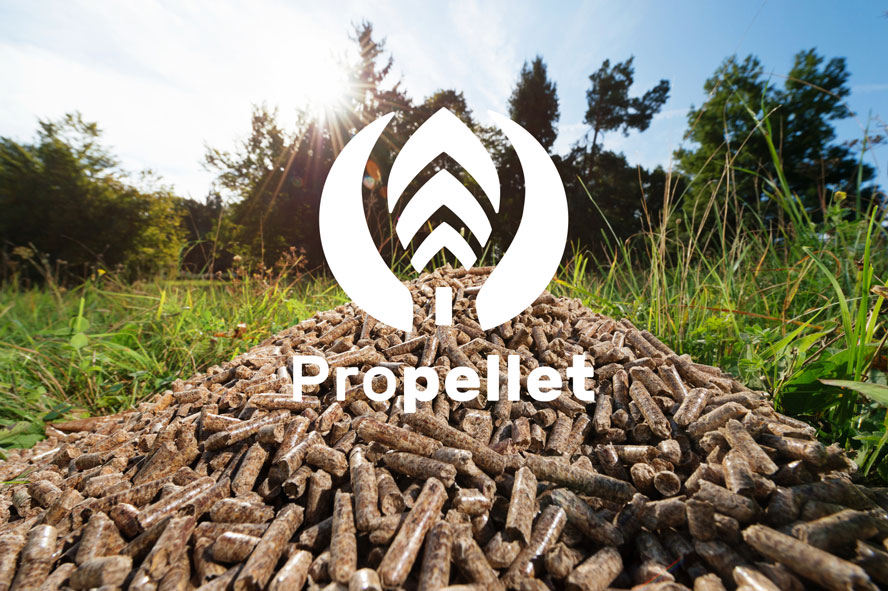 graphiste-logo-chambery-picopico-client-propellet